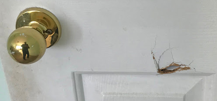 interior door hole repair Lakewood