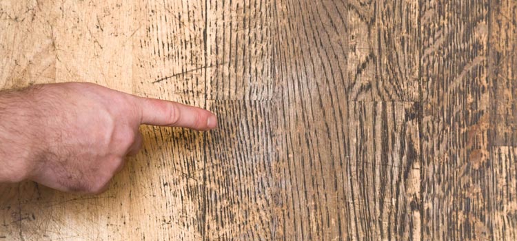 Wood Door Scratch Repair in Lakewood